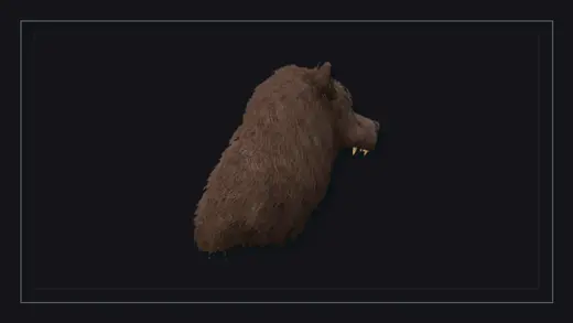 Медвежий головной убор